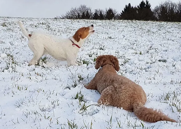Am Klosterweg Rhein-westerwald * Kurtscheid